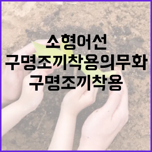 2인 이하 소형어선 구명조끼 착용 의무화