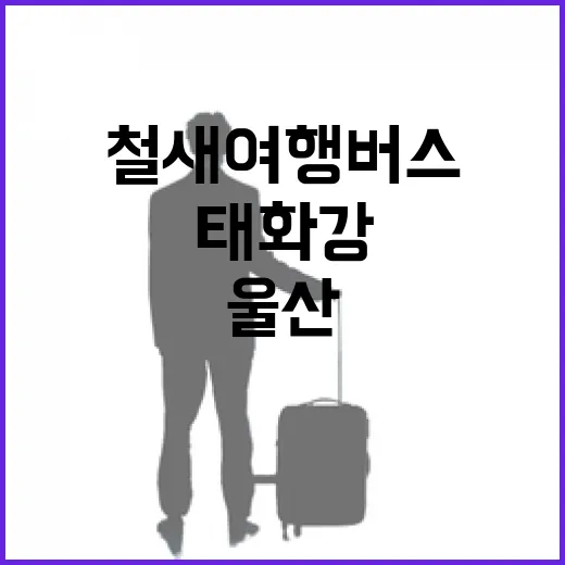 울산 태화강 철새여행버스 체험기