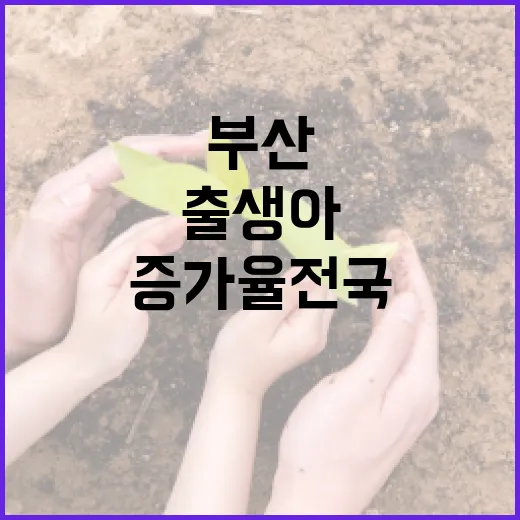 부산 출생아·혼인 증가율 전국 1위