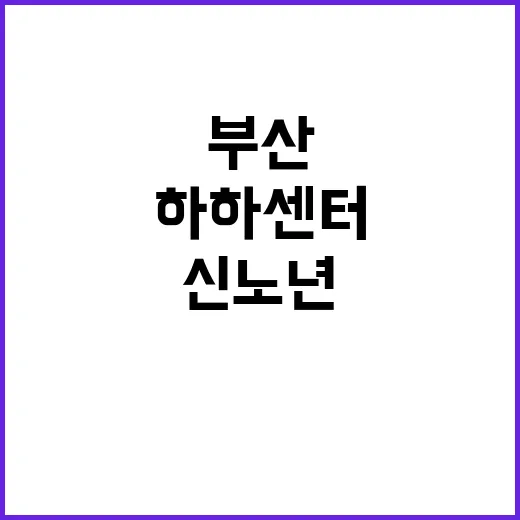 부산 하하센터, 신…