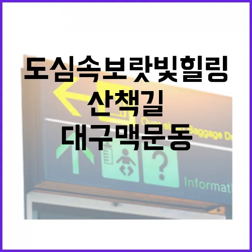 도심 속 보랏빛 힐링, 대구 맥문동 산책길