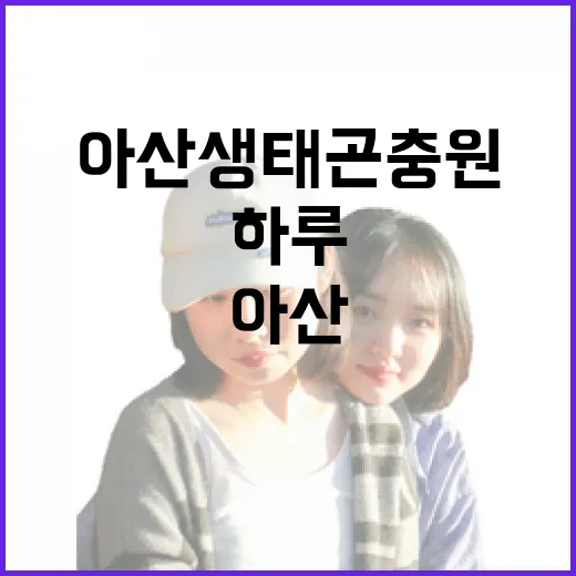 아산 생태곤충원에서 만나는 자연의 하루