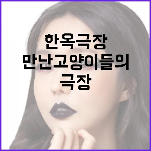 한옥 극장서 만난 고양이들의 삶