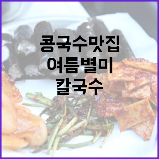 강원도 여름 별미 칼국수·콩국수 맛집