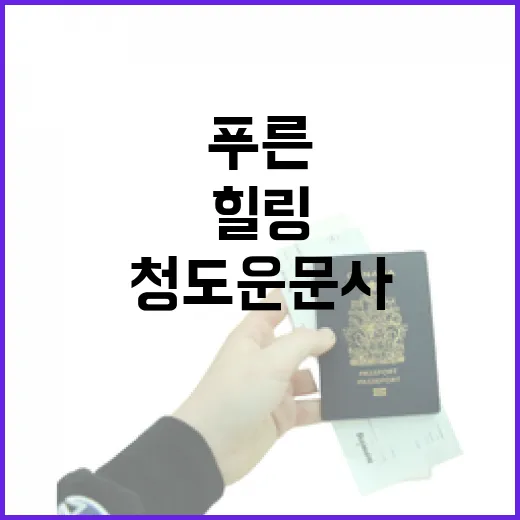청도 운문사에서 만나는 푸른 힐링 숲길