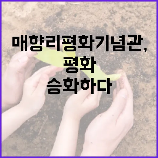 매향리평화기념관, 아픔을 평화로 승화하다