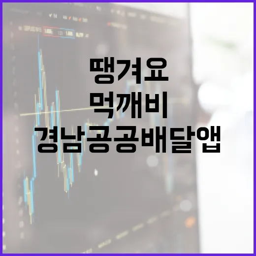 경남 공공배달앱, 땡겨요·먹깨비 선정