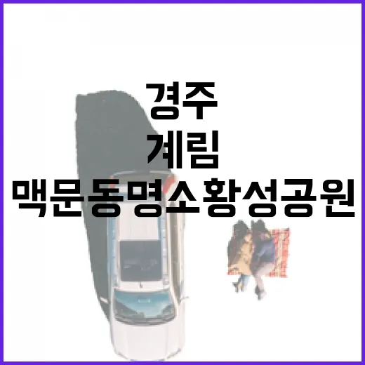 경주 맥문동 명소 황성공원과 계림 산책길