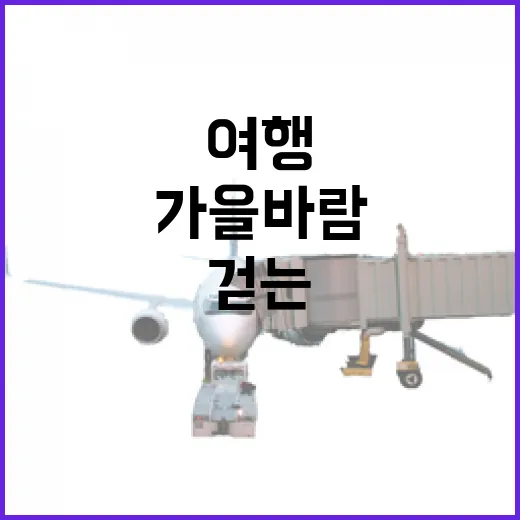 가을 바람 따라 걷는 충남 명소 여행