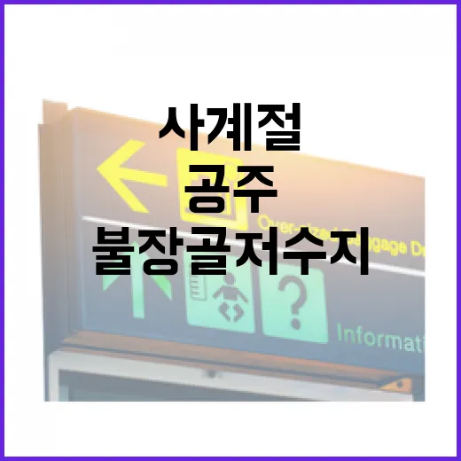공주 불장골저수지, 사계절 비밀 정원