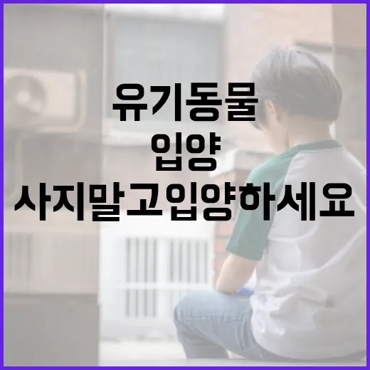 '사지 말고 입양하세요' 유기동물 팝업스토어