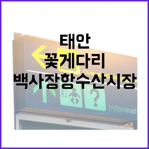 태안 백사장항 수산시장과 꽃게다리 명소