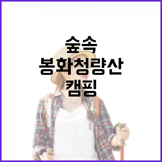 봉화 청량산 숲속 캠핑의 매력