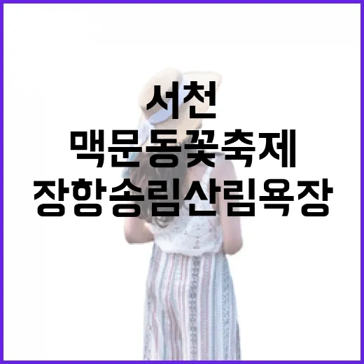 서천 장항송림산림욕장 맥문동 꽃축제 명소