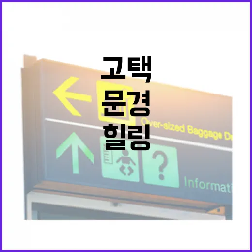 문경 부훤당고택에서 만나는 고즈넉한 힐링