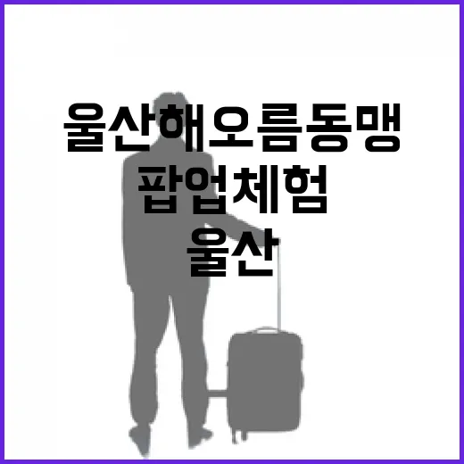 울산 해오름동맹 팝업 체험 현장