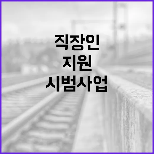 직장인 점심 지원, 3년 시범사업으로 정밀 검증