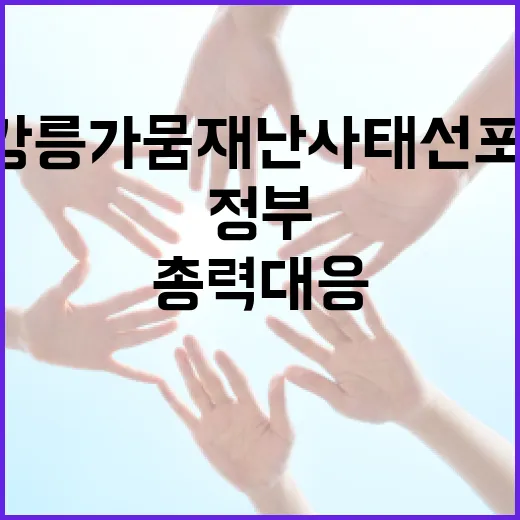 강릉 가뭄 재난사태 선포, 정부 총력 대응 나서