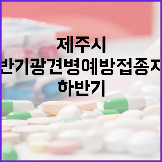 제주시 하반기 광견병 예방접종 지원 시작