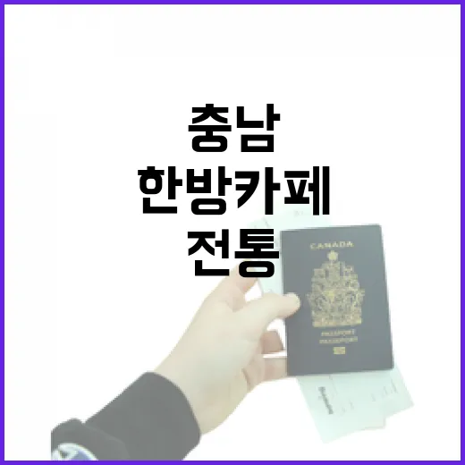 충남 전통 한방카페 8곳 추천