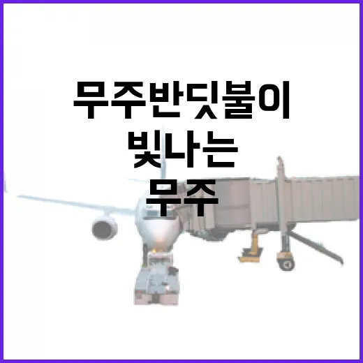 무주 반딧불이, 가을밤의 빛나는 선물