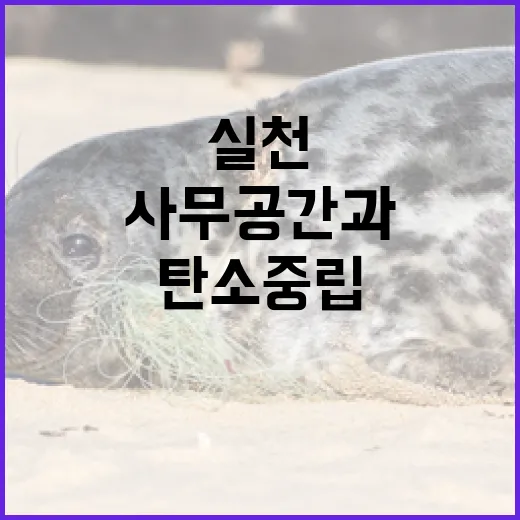 사무공간과 소비생활로 실천하는 탄소중립