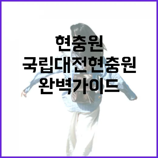국립대전현충원 묘역 찾기 완벽 가이드