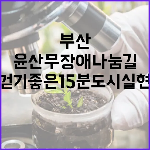 부산 윤산 무장애나눔길, 걷기 좋은 15분도시 실현