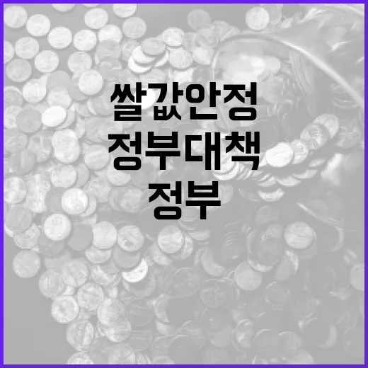 쌀값 안정 위한 정부 대책 현황