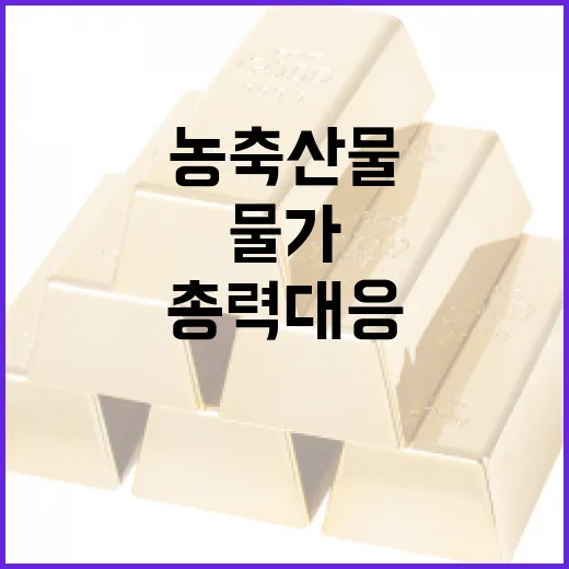 8월 농축산물 물가 4.4% 상승, 추석 대비 총력 대응