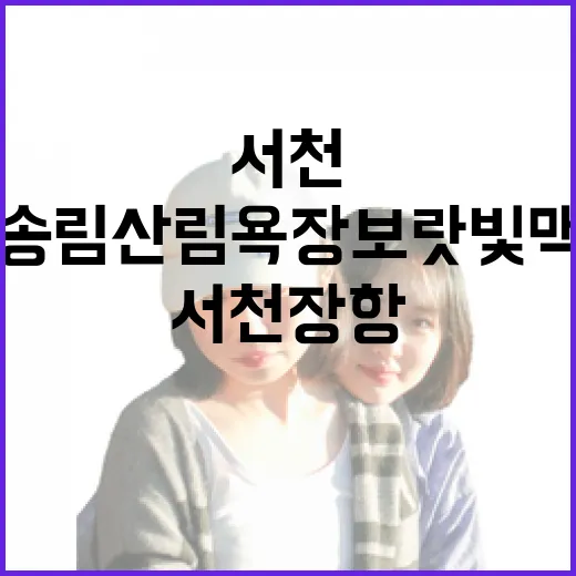 서천 장항송림산림욕장 보랏빛 맥문동의 밤