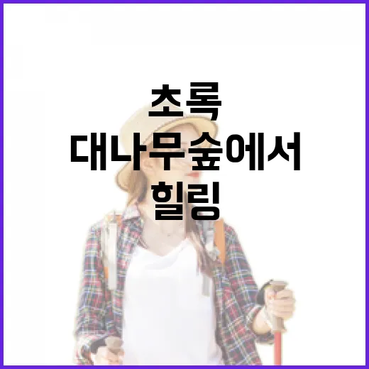 담양 죽녹원, 초록 대나무 숲에서 힐링 산책
