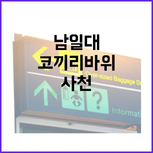 사천 남일대 코끼리바위와 스카이워크 명소