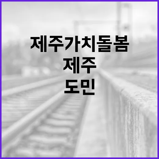 제주가치돌봄, 도민 맞춤형 돌봄 시작