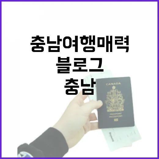 충남 여행 매력 알리는 블로그 공모전