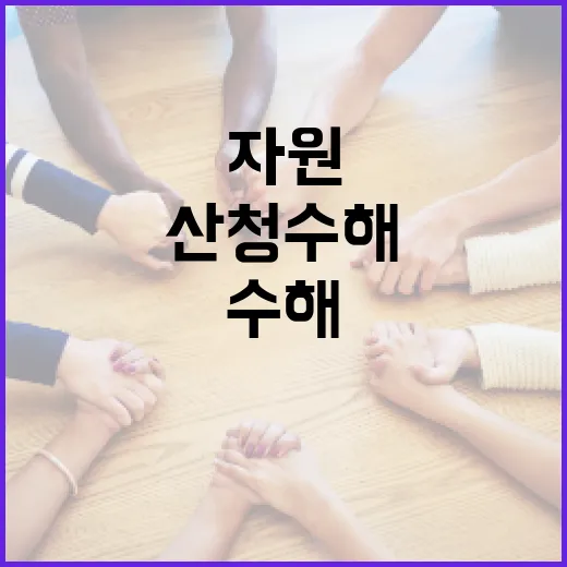 산청 수해 현장, 자원봉사자들의 빛나는 헌신