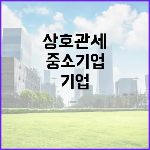 미 상호관세 충격 중소기업 3대 지원책 가동