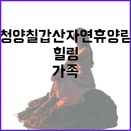 청양 칠갑산 자연휴양림 가족 힐링 명소