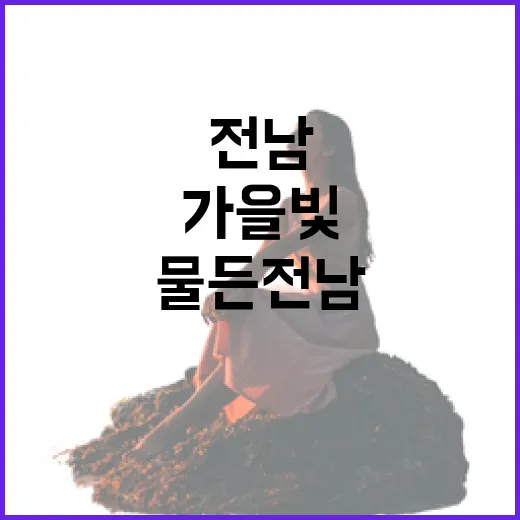 가을빛 물든 전남 걷기 명소 6선