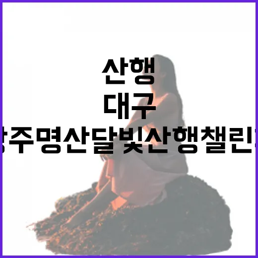 대구·광주 명산 달빛산행 챌린지로 만나는 자연의 감동