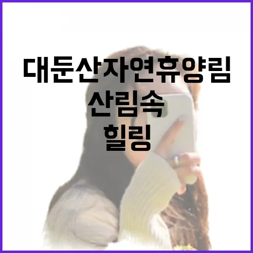 대둔산자연휴양림, …