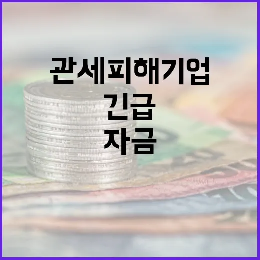 미 관세 피해기업에 13조 긴급경영자금 지원 강화