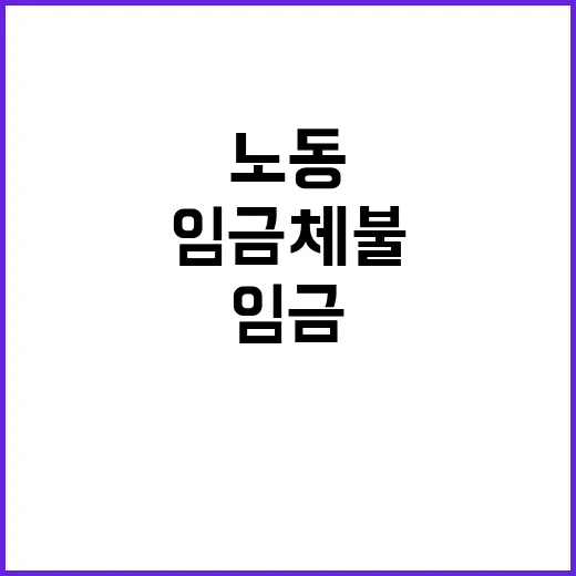 노동부, 임금체불 …