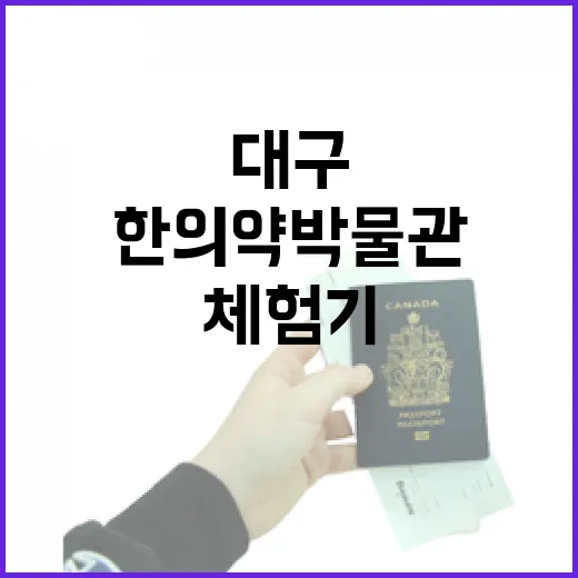 대구 약령시 한의약 박물관 체험기