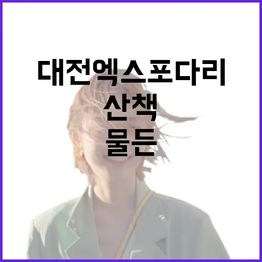 대전 엑스포 다리, 빛으로 물든 밤 산책 명소