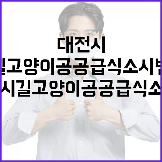 대전시 길고양이 공공급식소 시범 운영 시작