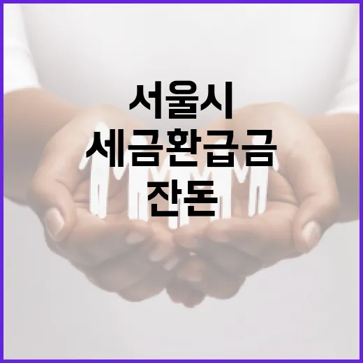 서울시, 세금 환급금 일부 기부 '잔돈기부' 전국 첫 도입