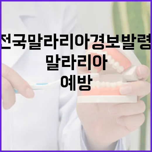 전국 말라리아 경보 발령, 철저한 예방 당부