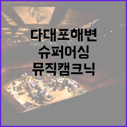 다대포 해변, 슈퍼어싱과 뮤직 캠크닉 축제 열기