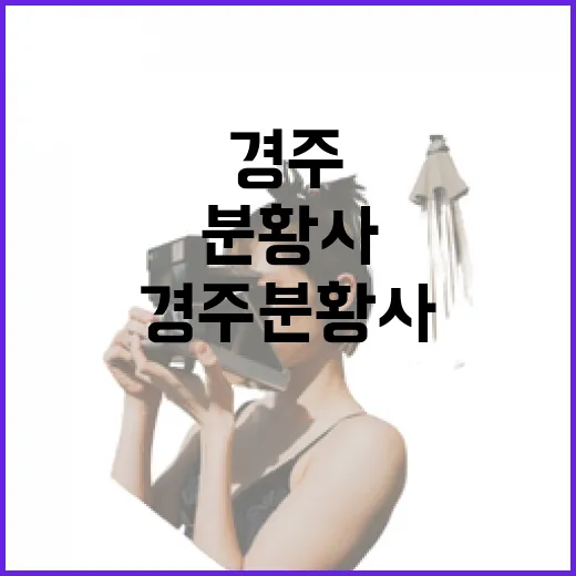경주 분황사, 신라 천년의 숨결